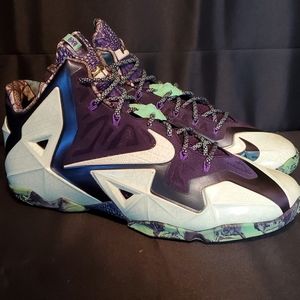 Lebron 11's (Gator King)